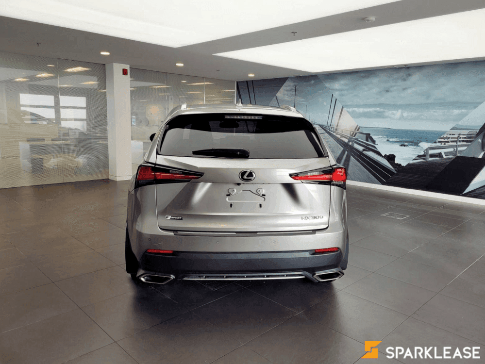 2019 Lexus NX300