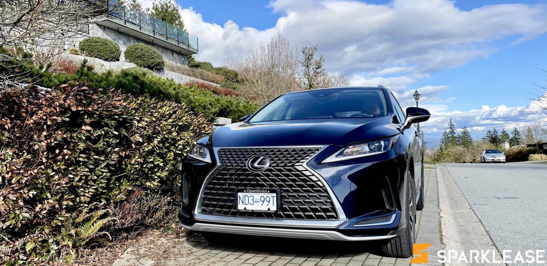 2022 Lexus RX