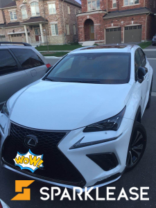 2019 Lexus NX 300 F sport 2