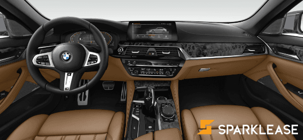2020 BMW 530 Demo