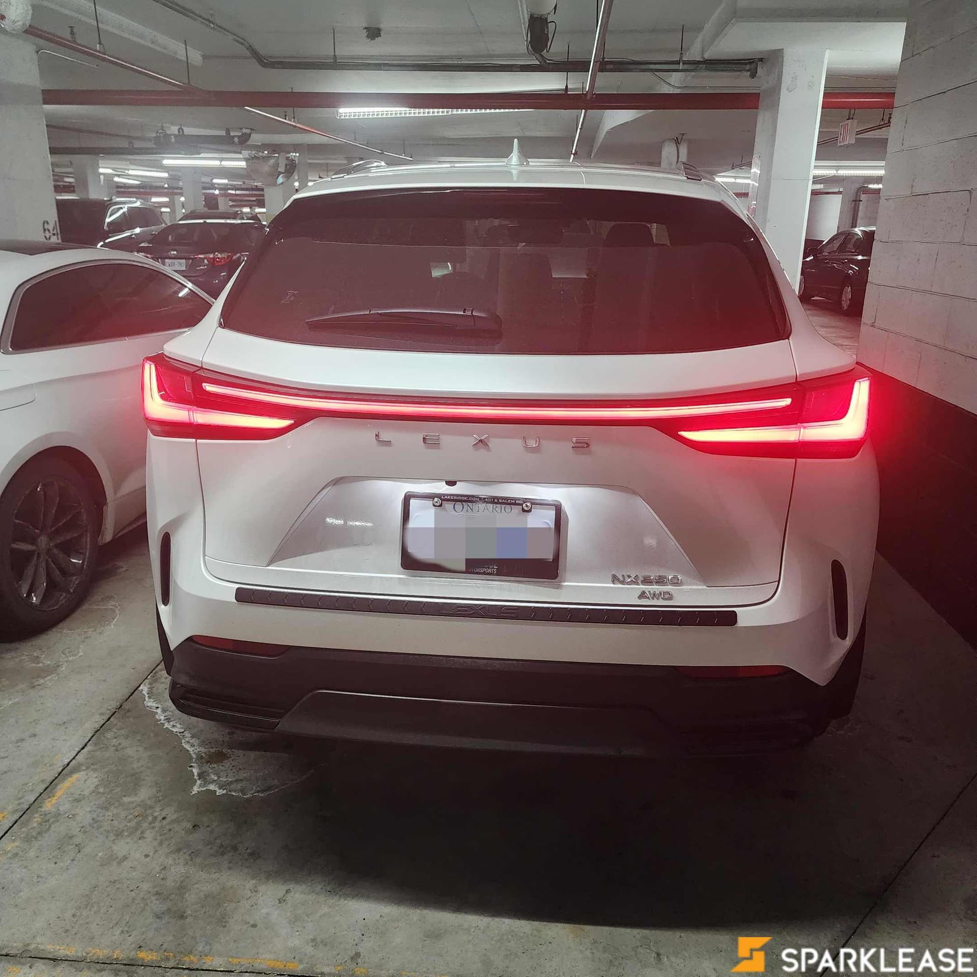 2022 Lexus NX NX 250 AWD
