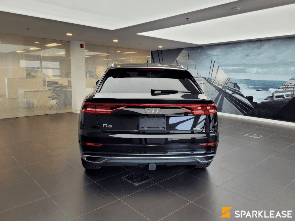2019 Audi Q8 Technik