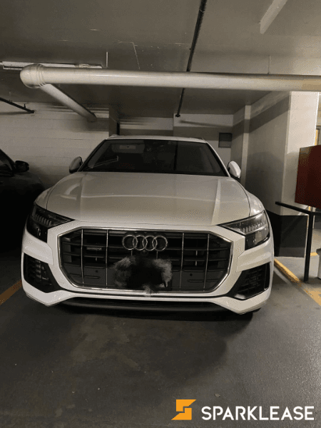 2019 Audi Q8