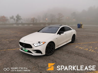 2019 Mercedes-Benz AMG CLS 53