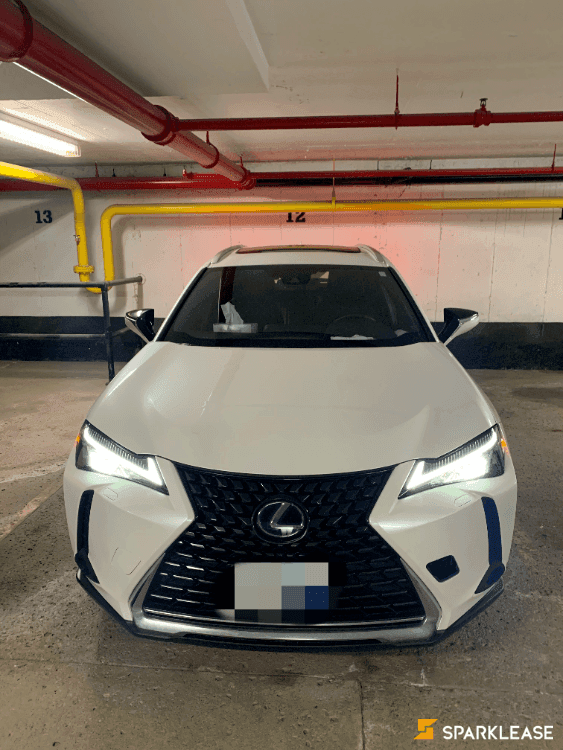 2019 Lexus UX250h