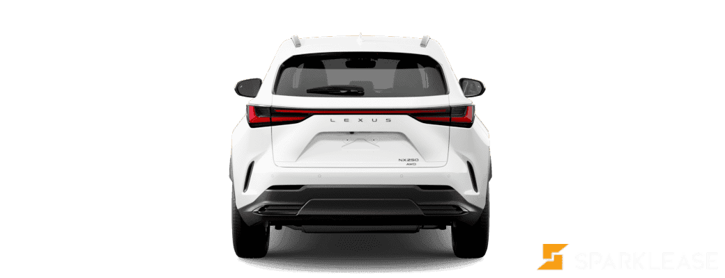 2024 Lexus  NX 250 月中到店