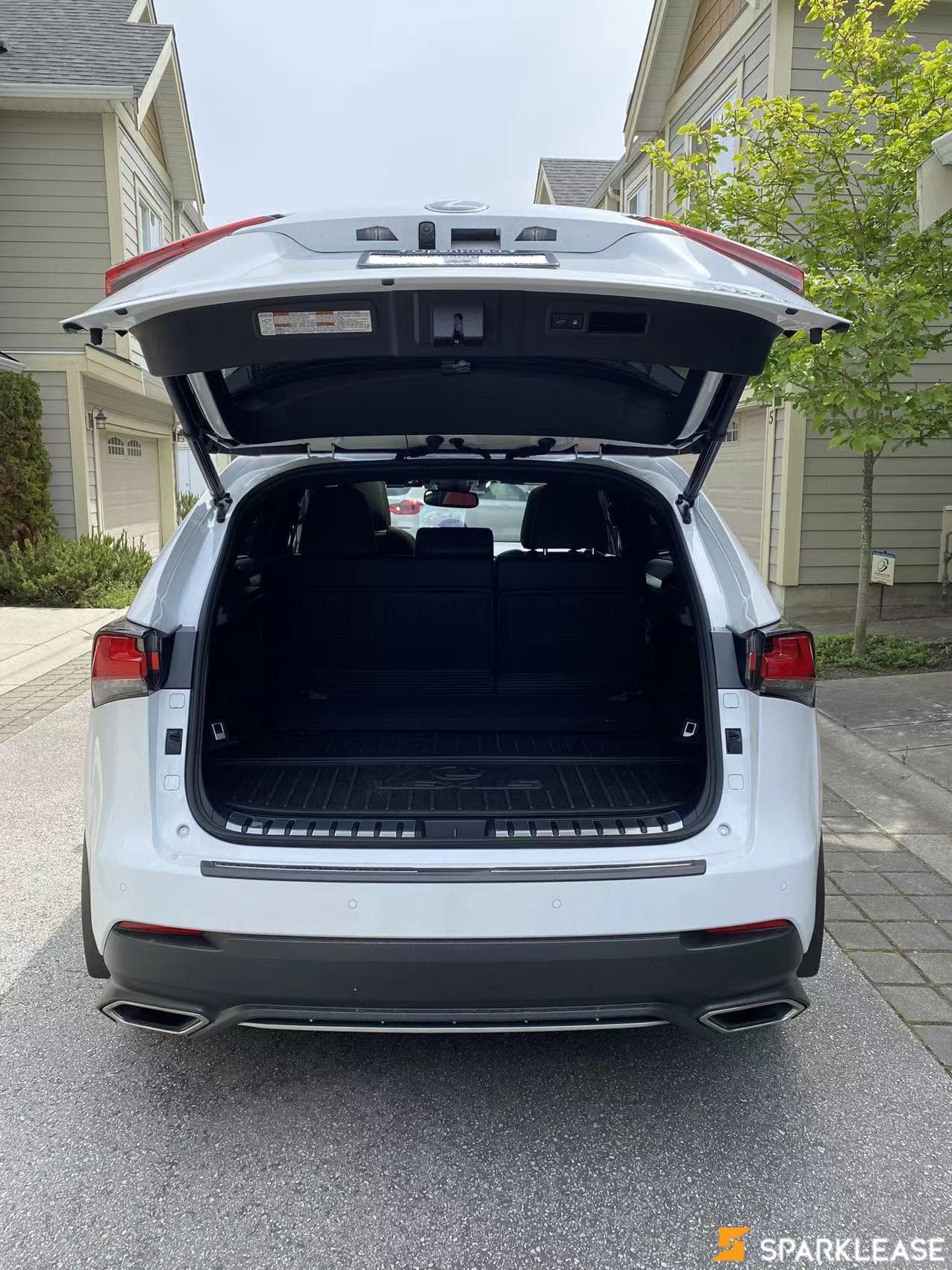 2021 Lexus NX300
