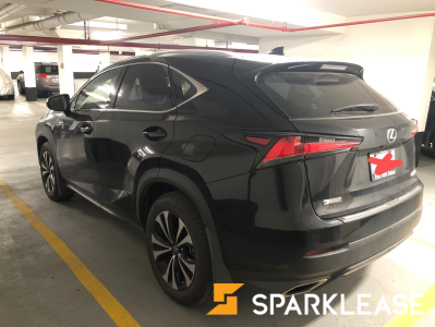 2019 Lexus NX 300 F-Sport2