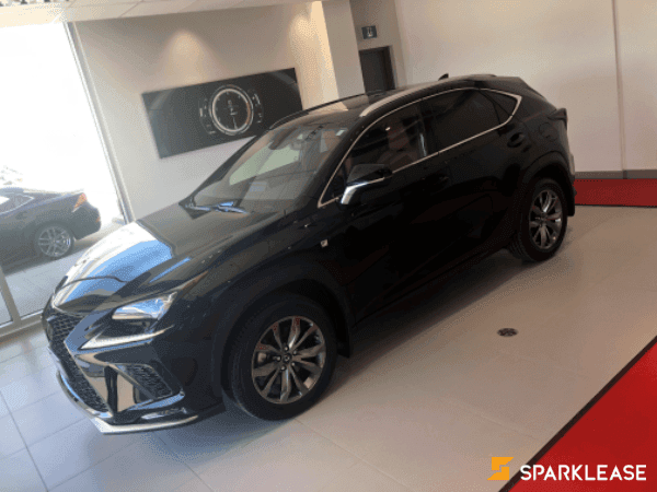 2020 Lexus NX