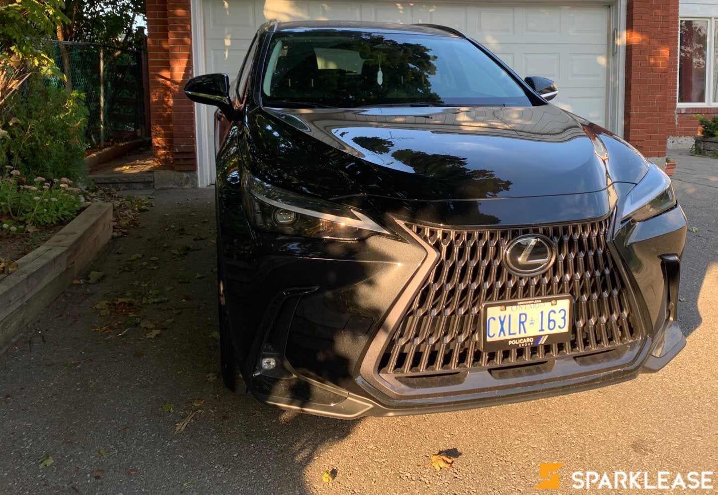 2023 Lexus NX NX 250 AWD