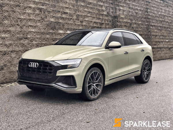 2019 Audi Q8 Technik