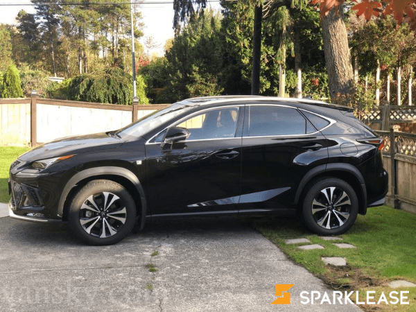 2019 Lexus NX300