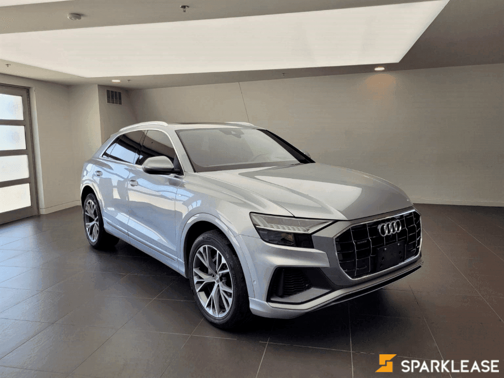 2019 Audi Q8 Technik