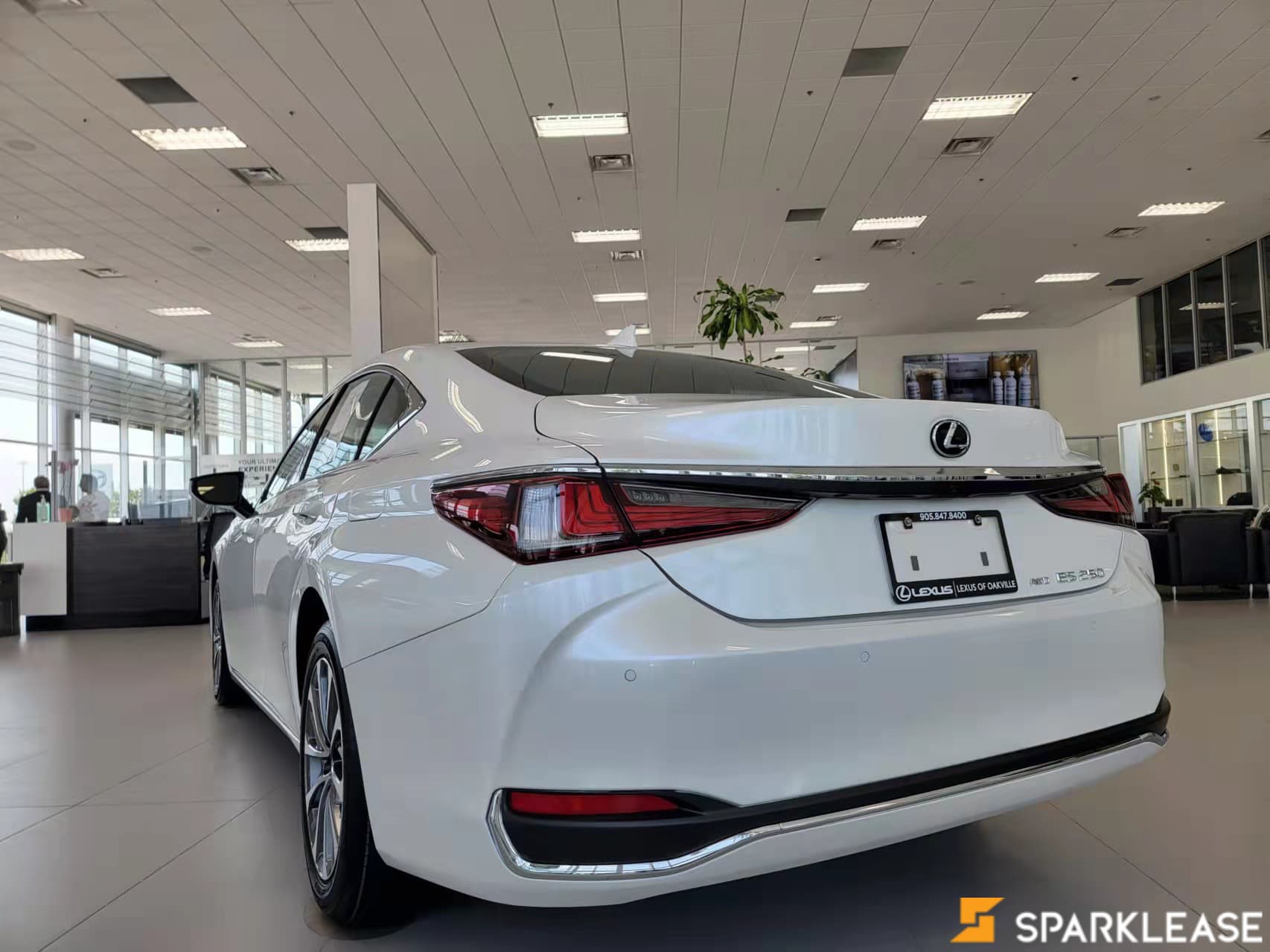 2022 Lexus  ES 250 Premium 现车
