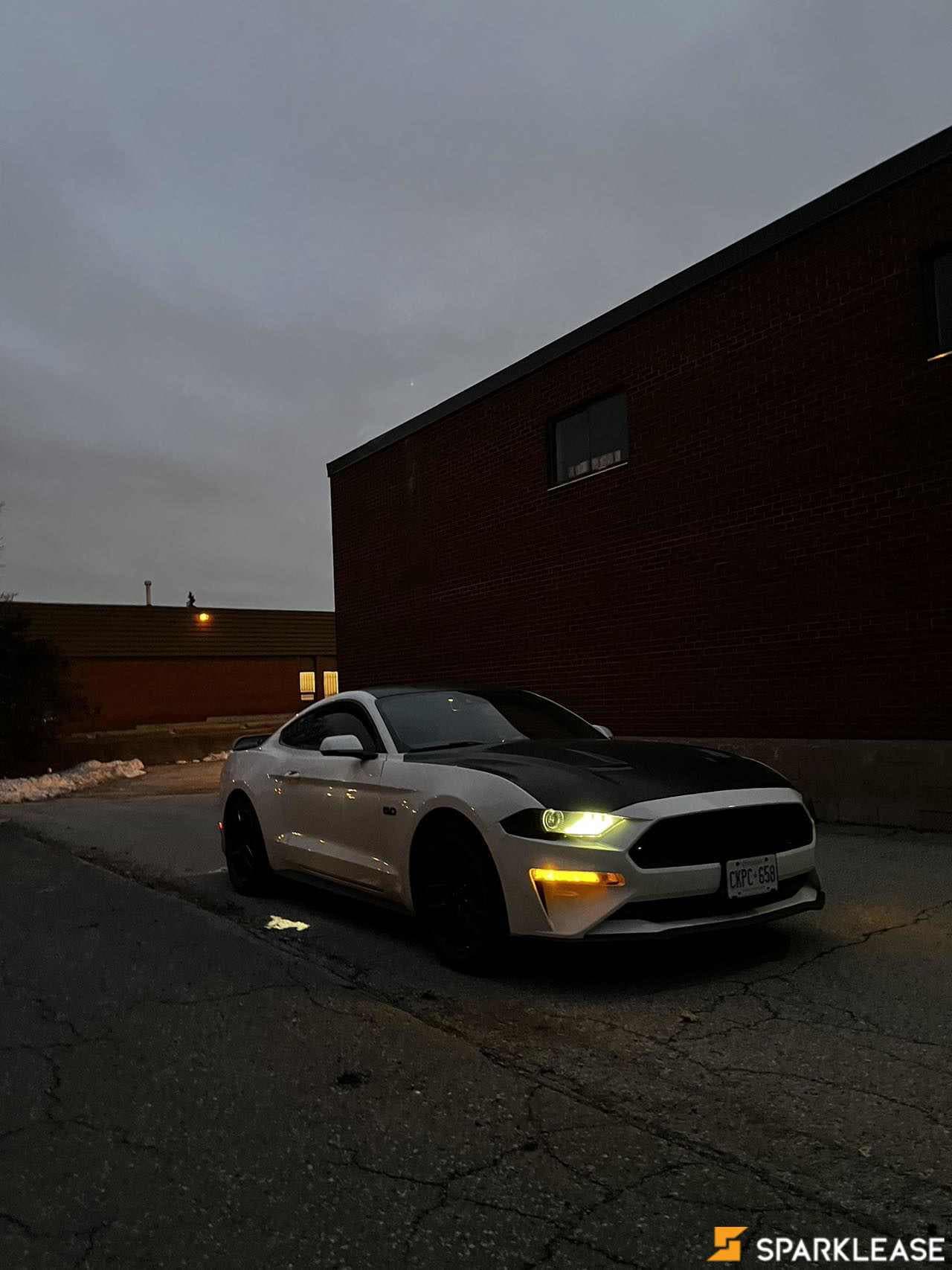 2019 Ford Mustang GT Premium Fastback