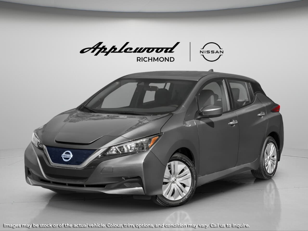 2020 Nissan LEAF SV PLUS