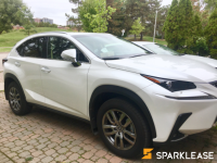 2019 Lexus NX300