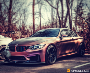 2016 BMW M4