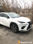 2019 Lexus NX