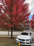 2019 BMW 440i xDrive GC