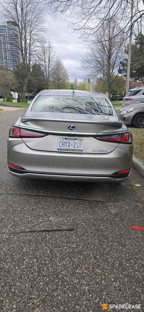 2019 Lexus ES