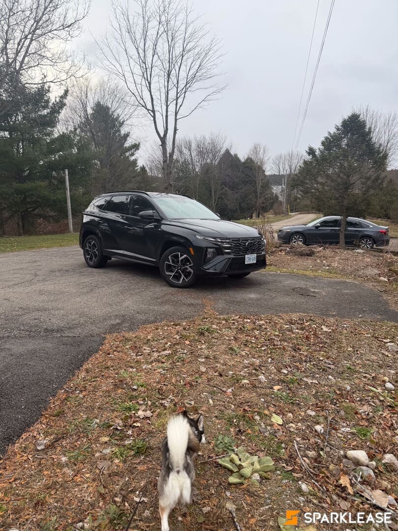 2025 Hyundai Tucson Hybrid N-Line AWD