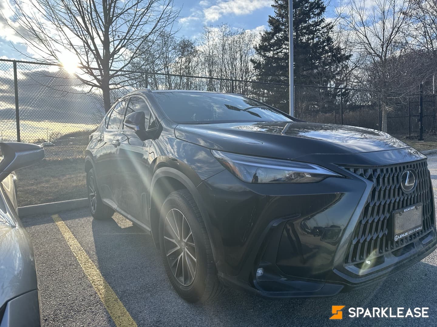 2023 Lexus NX350h Premium