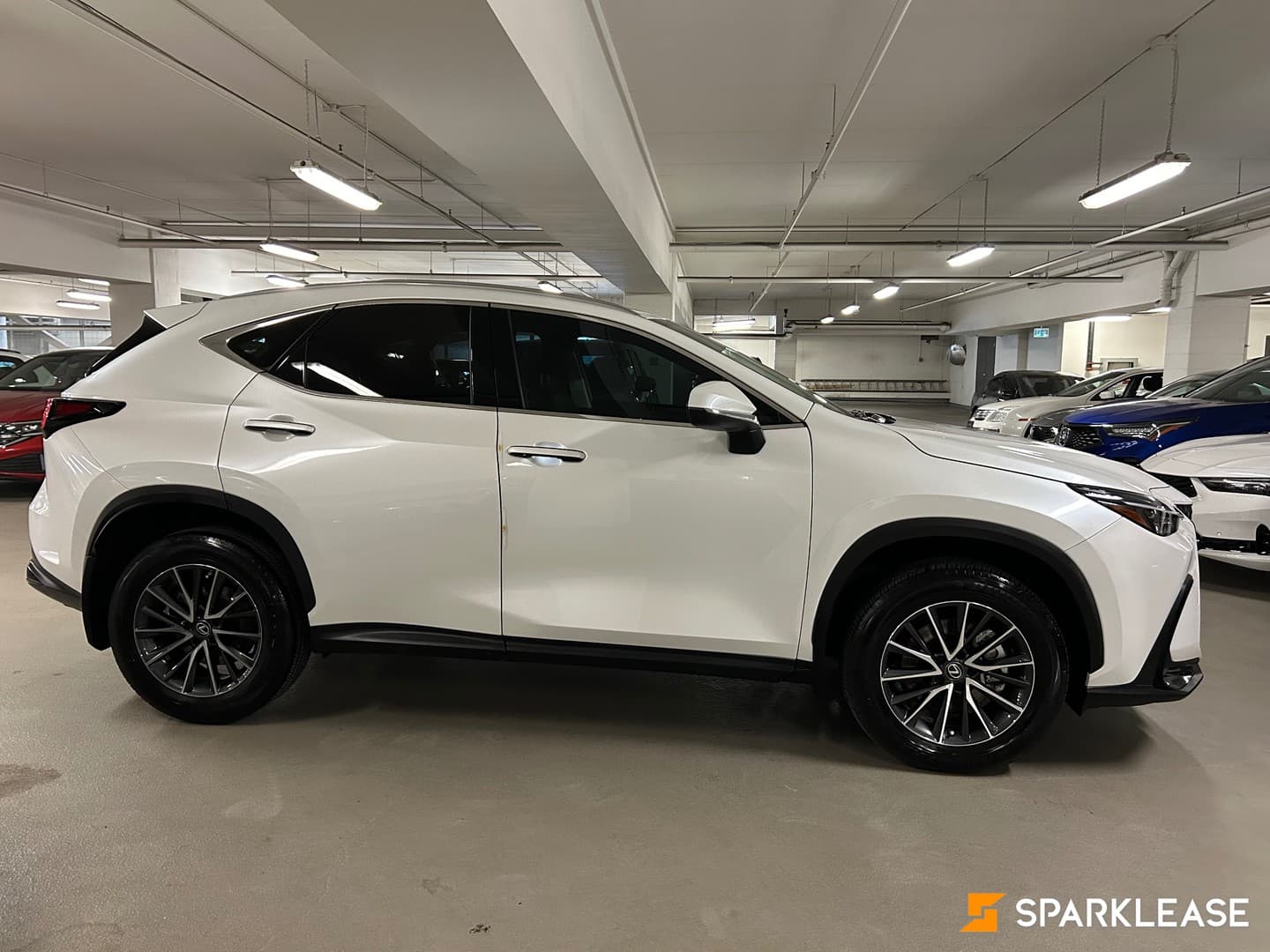 2023 Lexus NX NX 250 AWD