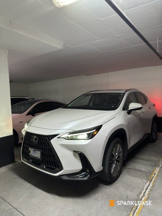 2022 Lexus NX NX 350 AWD