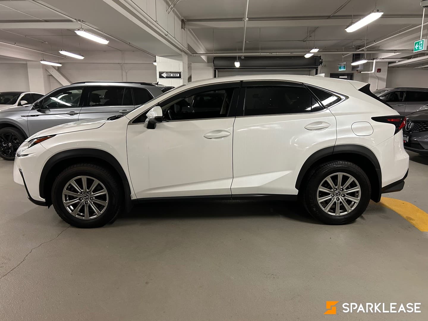 2019 Lexus  NX 