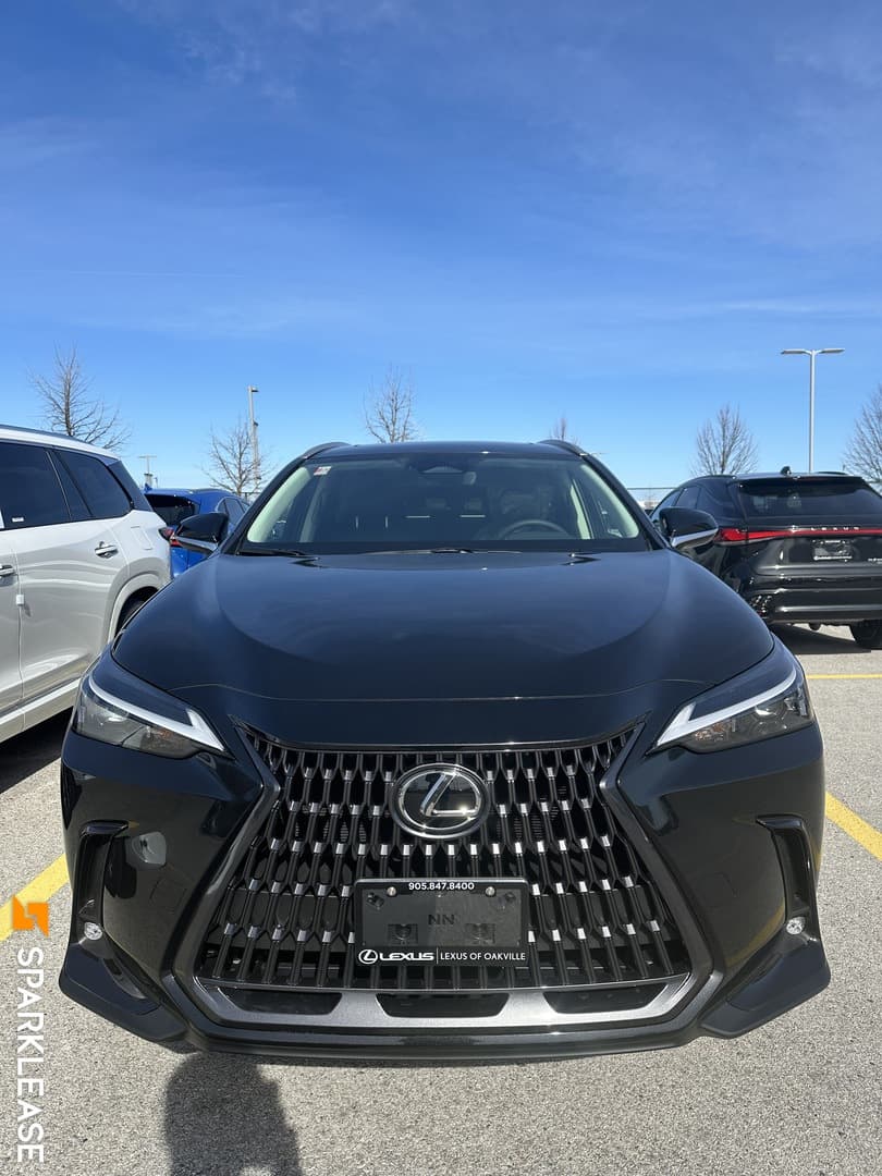 2024 Lexus  NX  NX 350 AWD 