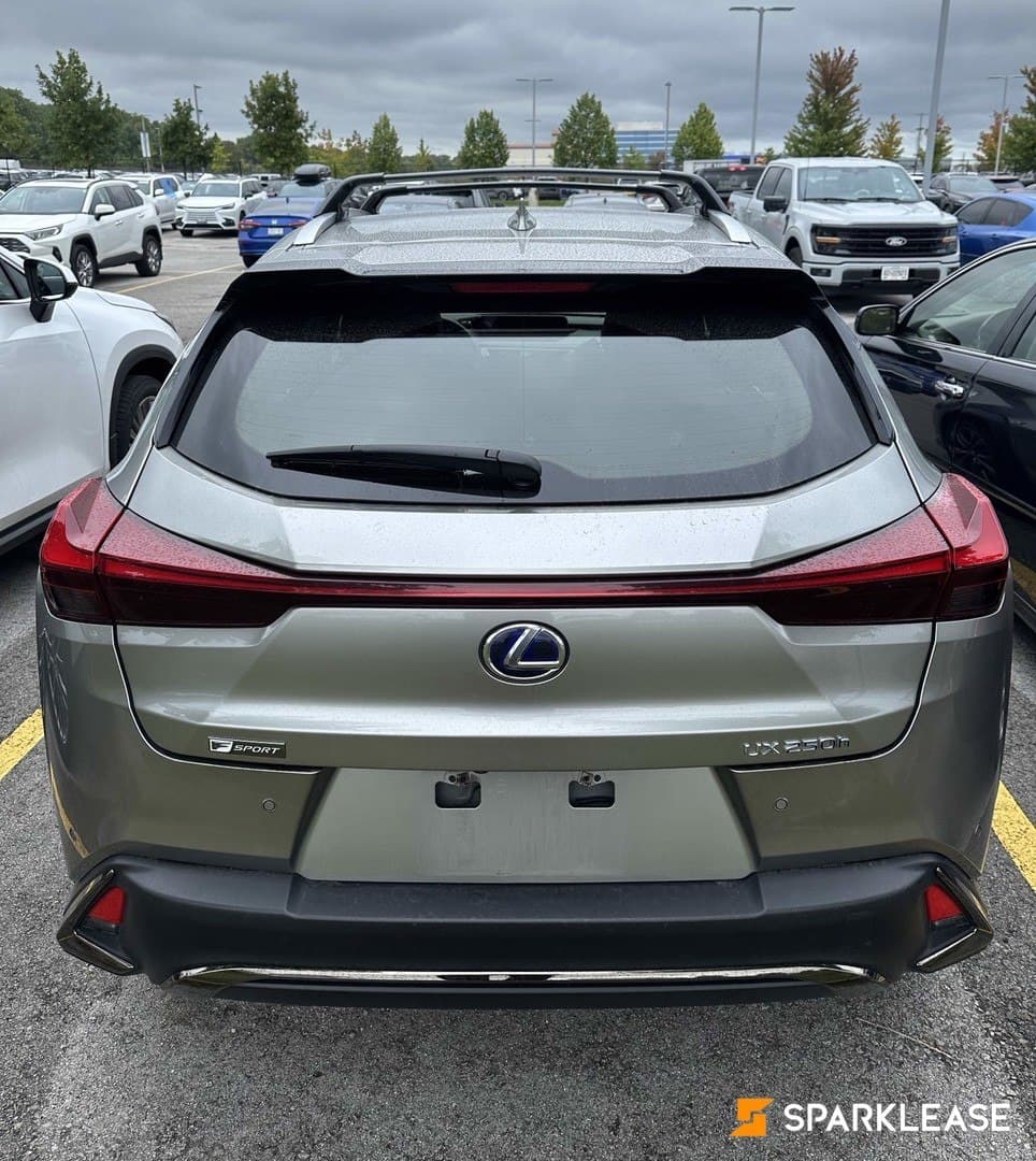 2021 Lexus UX 250h 顶配