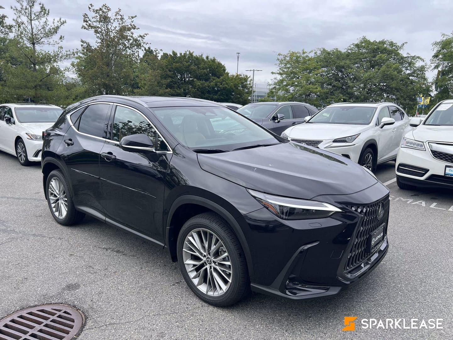 2025 Lexus  NX  NX 350h AWD 