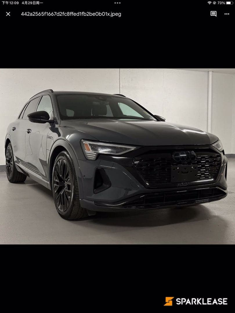 2024 Audi Q8 e-tron quattro