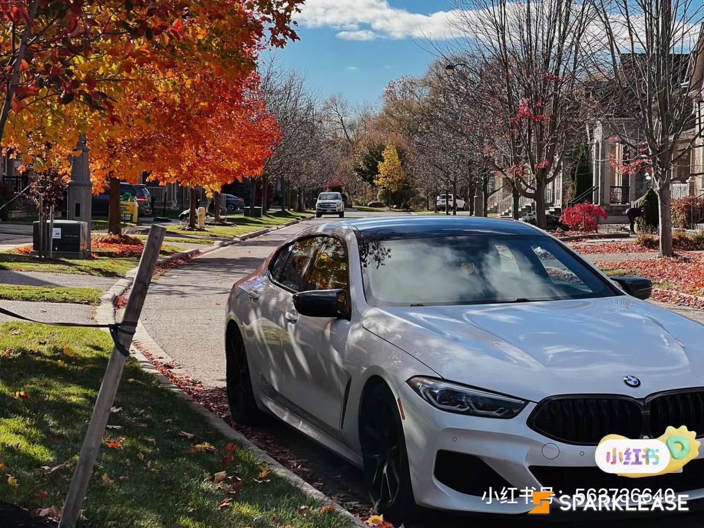 2020 BMW 8 Series M850i xDrive Gran Coupe