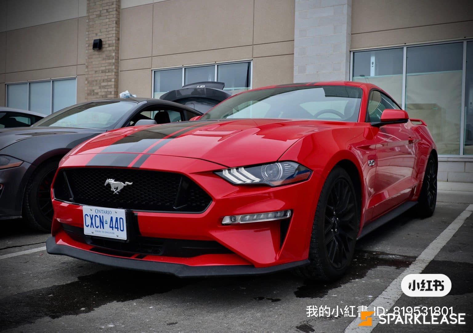 2021 Ford Mustang GT Fastback
