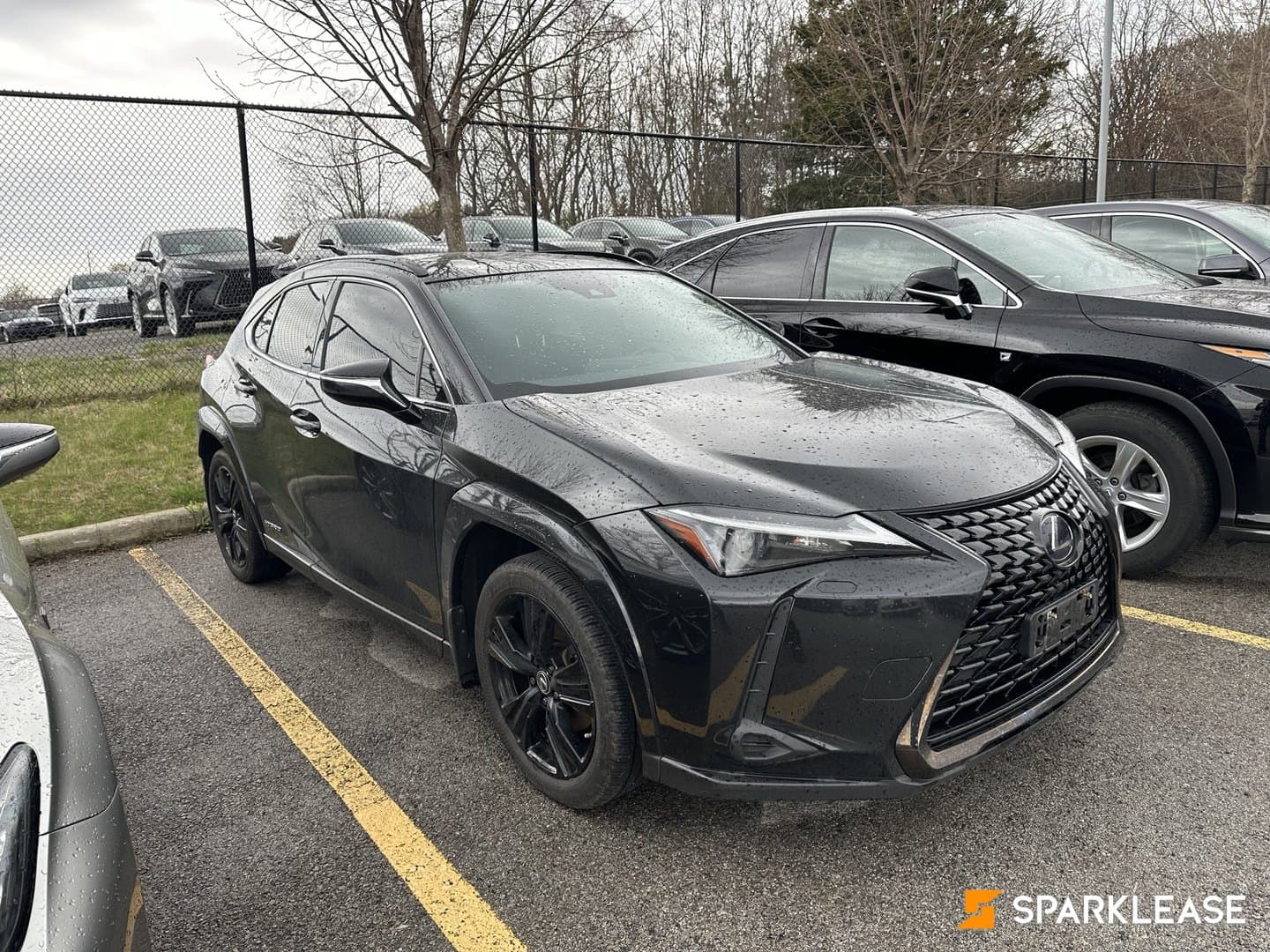 2021 Lexus UX 250h Black Line Edition
