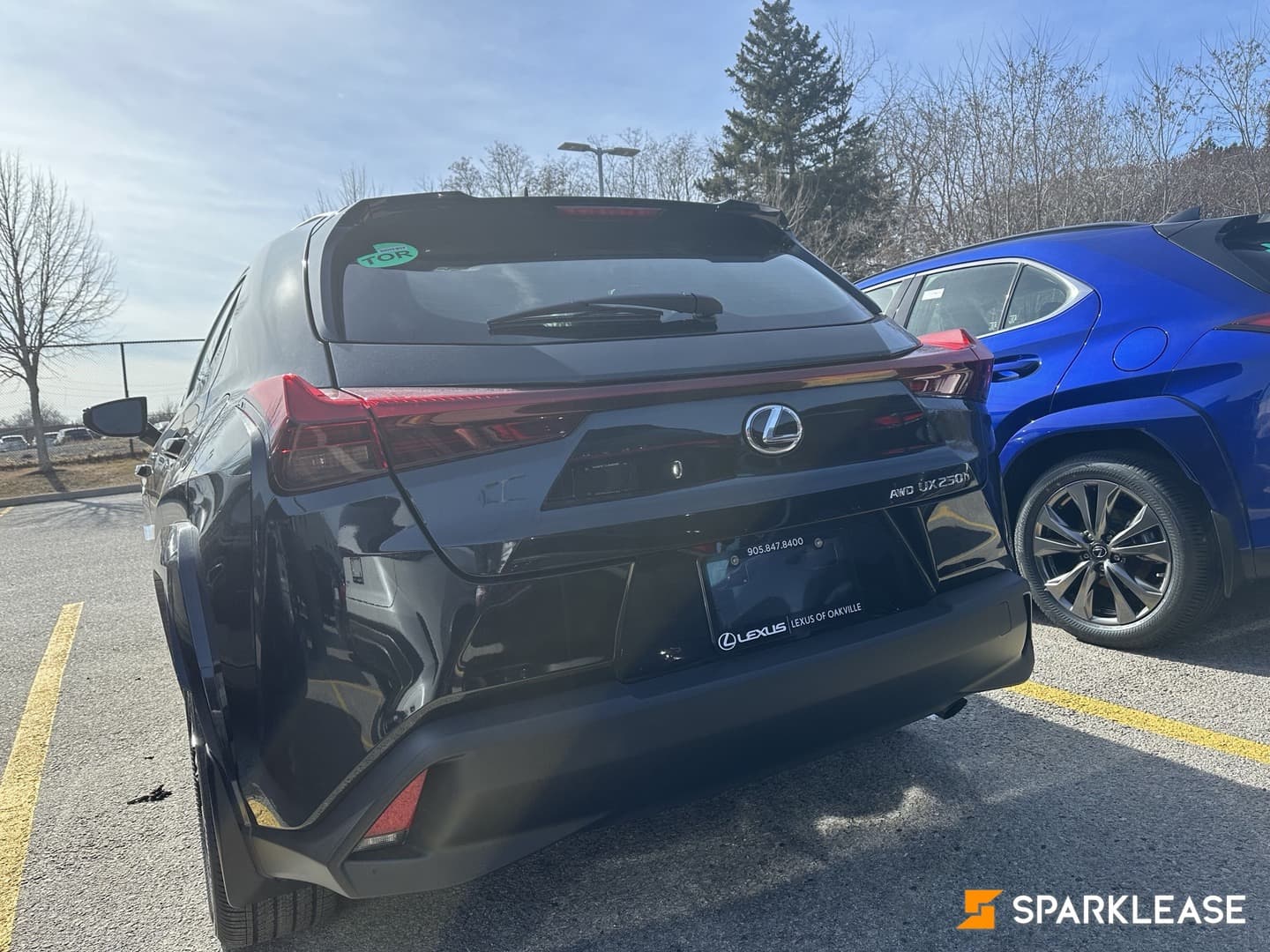 2024 Lexus  UX 250H 混合动力 现车