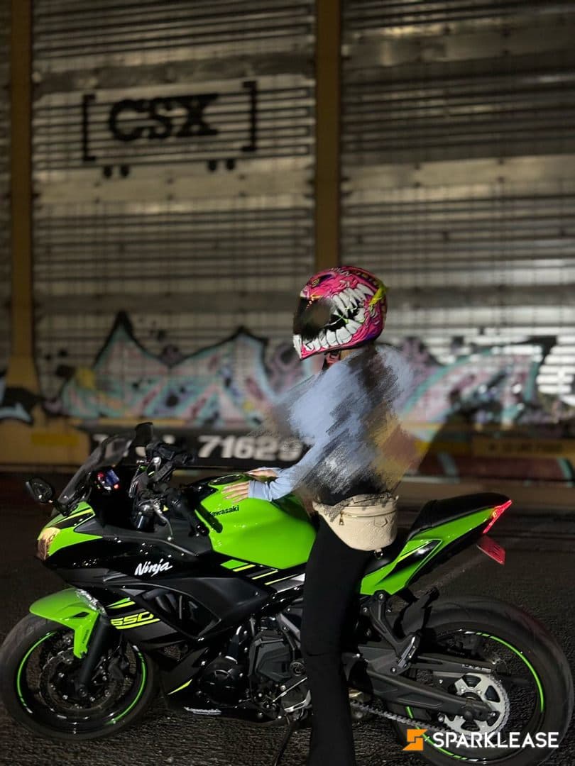 2018 Kawasaki Ninja 650 ABS krt edition