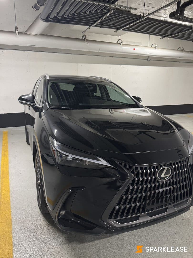 2025 Lexus NX NX 250 AWD