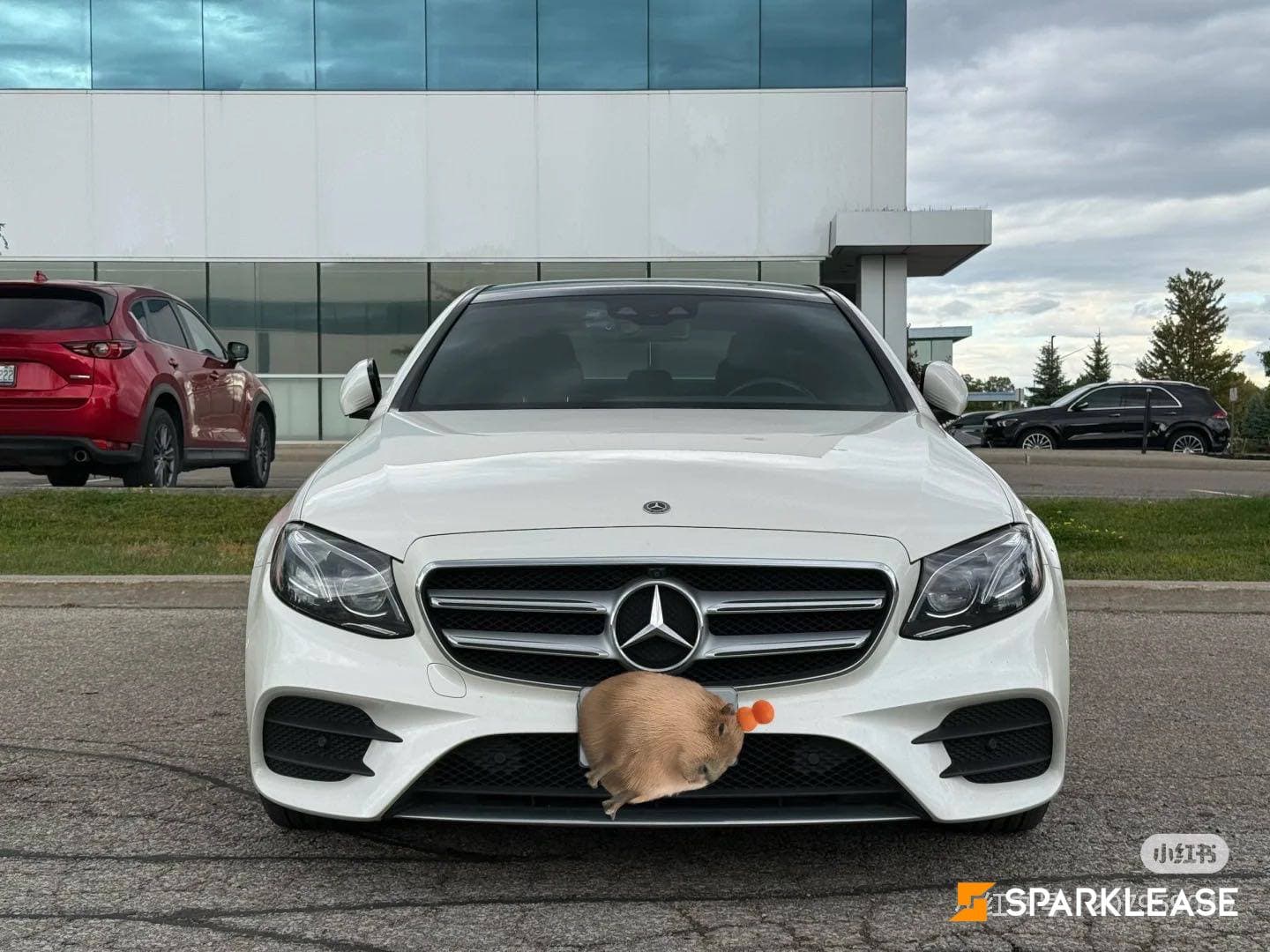 2020 Mercedes-Benz E-Class E 350 4MATIC Sedan