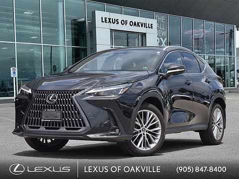 2024 Lexus NX 350h Luxury