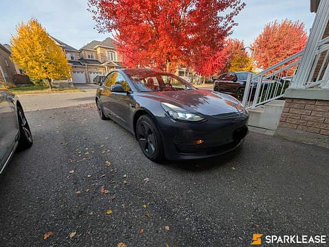 2023 Tesla Model 3 RWD