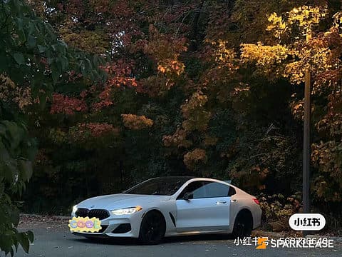 2020 BMW 8 Series M850i xDrive Gran Coupe