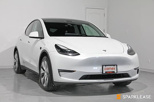 2023 Tesla Model Y RWD