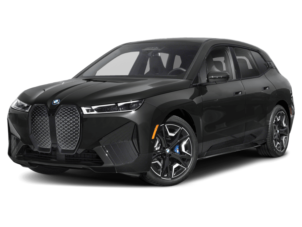 2025 BMW iX photo 1