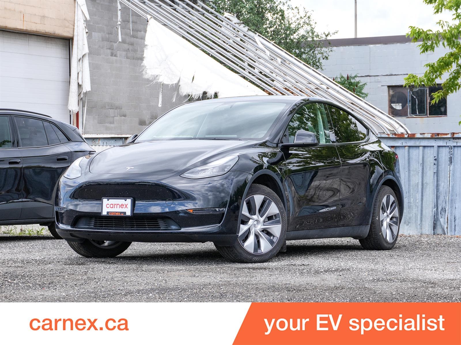 2023 Tesla Model Y RWD