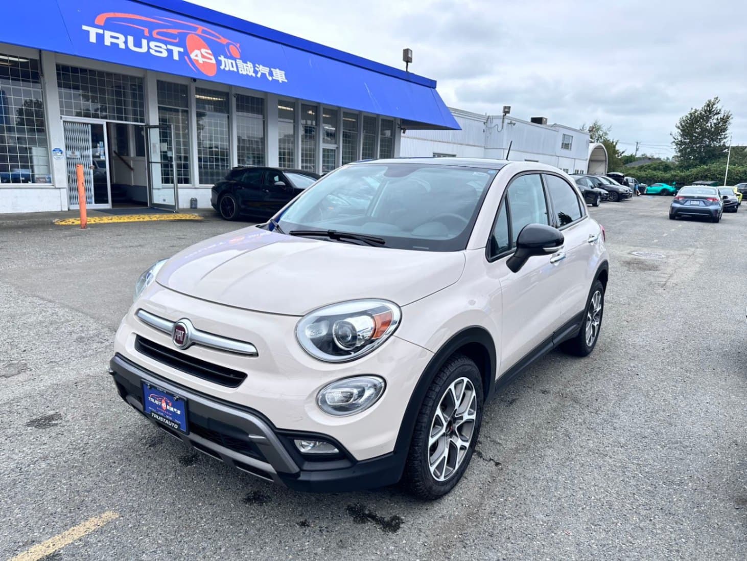 2016 Fiat 500X Trekking 4dr Front-wheel Drive Automatic