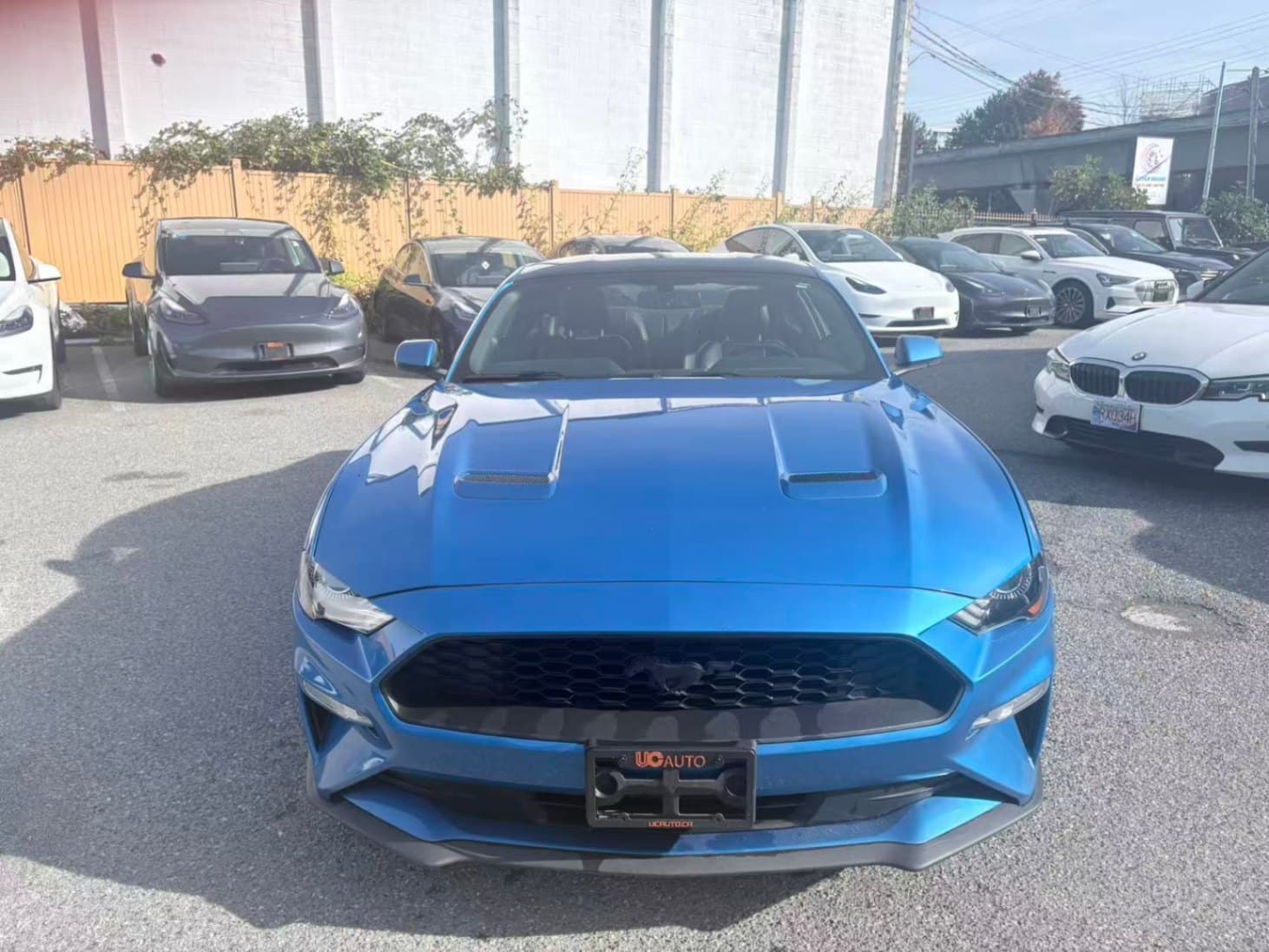 2019 Ford Mustang EcoBoost Fastback NO ACCIDENTS/BC LOCAL/ONE OWNER