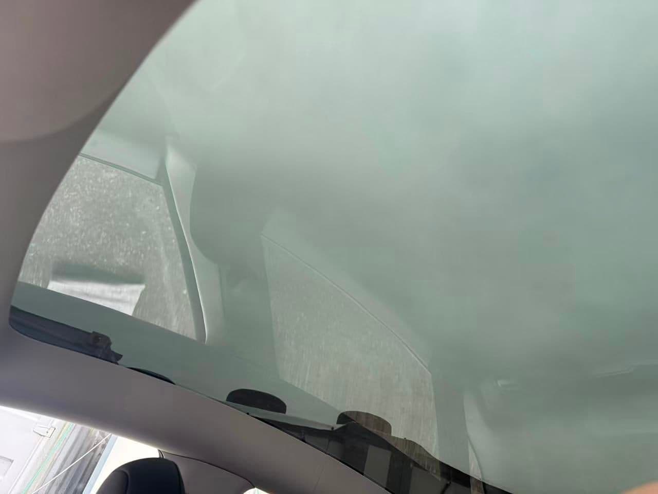2023 Tesla Model Y RWD No Accident, BC Local, One Owner